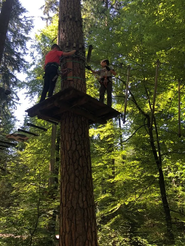 Seilpark Zürich – Bild 2 von 15