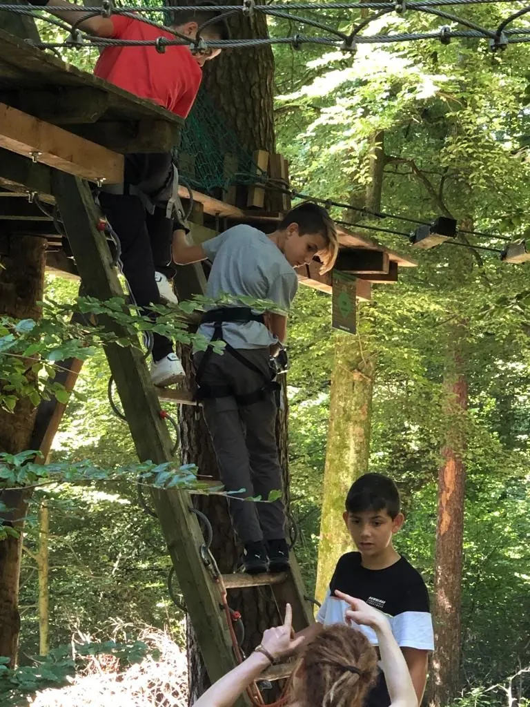 Seilpark Zürich – Bild 15 von 15